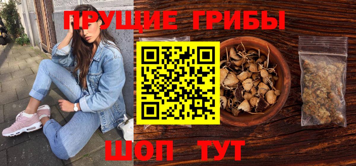 Луховицы  Псилоцибиновые грибы Psilocybine cubensis  Вход с VPN 